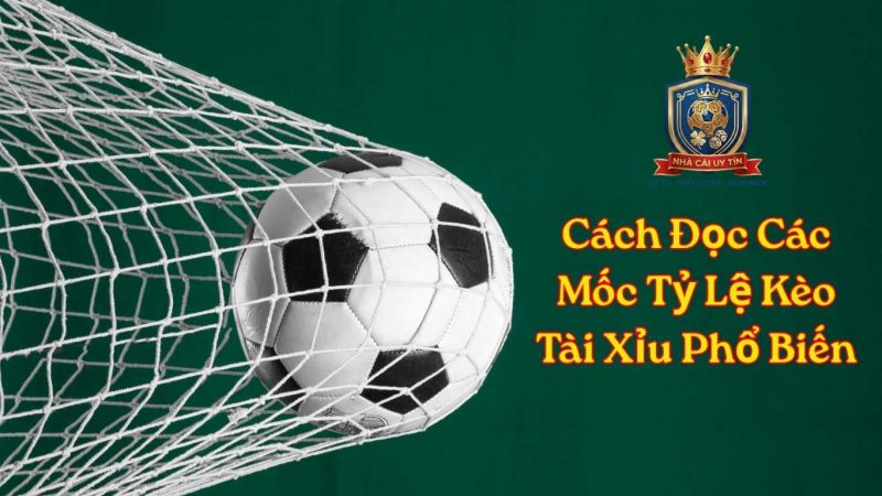 Cách Đọc Các Mốc Tỷ Lệ Kèo Tài Xỉu Phổ Biến