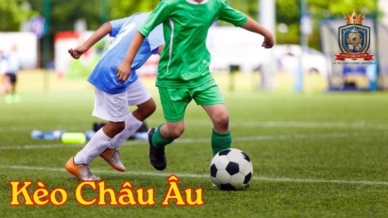 Công thức tính tiền thưởng Odds Châu Âu đơn giản cho tân thủ.